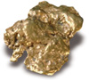 Gold Nugget